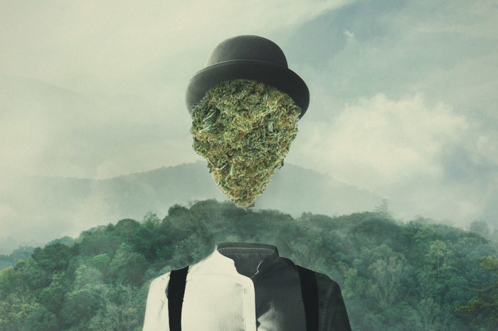 Cannabis effecten: Waarom Je High Wordt Van Wiet - RQS Blog