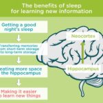 Benefits of Sleep | 11 health benefits of getting a good sleep